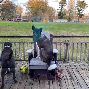 Meet your Posher, Brycelyn